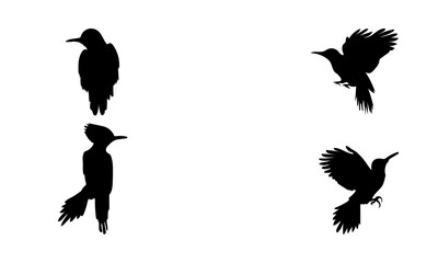 Fototapeta premium Woodpecker silhouettes set vector illustration (black And white) 02