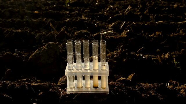Field soil samples for analysis. Selective focus.