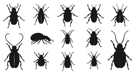 Set of Beetle Silhouettes Collection © andi