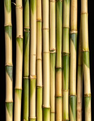 Obraz premium Vertical Bamboo Stalks With Green and Yellow Hues Against a Black Background