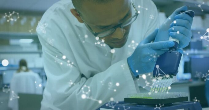 Male tech aligning blue pipette, causing dispensing into plate for lab test, overlay marking wells