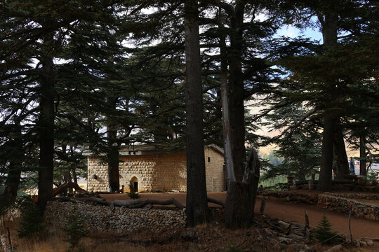 Church in the Cedars of God Forest