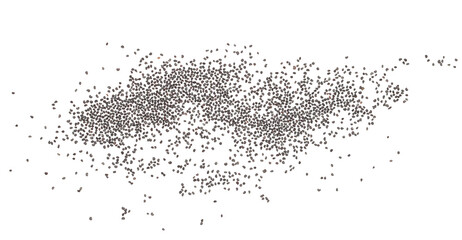 Closeup poppy seeds flying, isolated on white background, clipping path, transparency