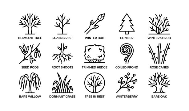 Dormant winter trees and plants icons: conifer, winterberry, bare oak, sapling rest, hedge