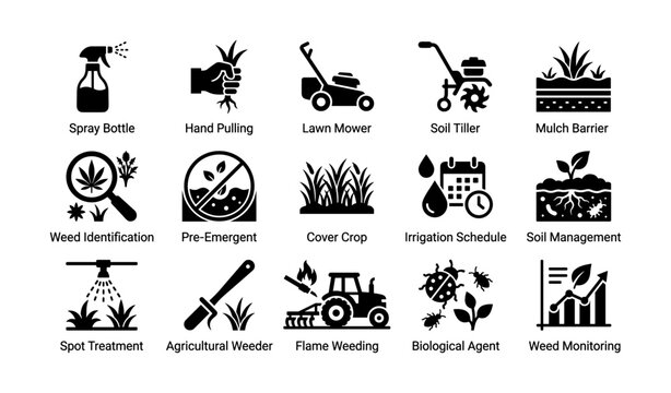 Essential gardening tools and techniques for effective weed management