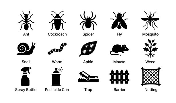 Silhouette icons of common pests and control measures: ant, cockroach, spider, mouse, trap