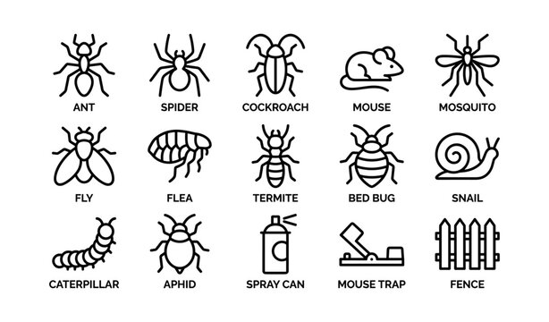 Vector icons of common pests: insects, rodents, and pest control tools