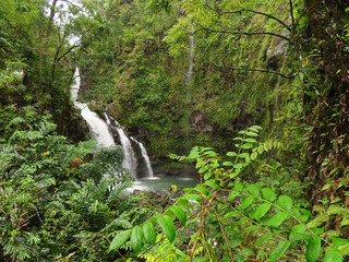 Scenic Triple Waterfall in Maui © TylerHoltman