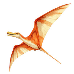 watercolor draw of Pteranodon, isolated on a white background. © skynora