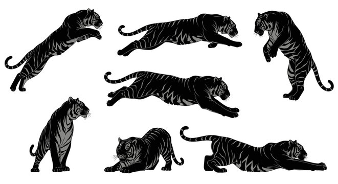 Set of Stylized Black Tigers in Various Poses, Dynamic Animal Illustrations