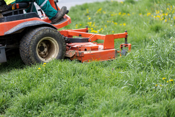 Obraz premium Ride on mower cutting tall grass in spring meadow area