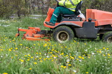 Obraz premium Side view of municipal mower working through flowering grass