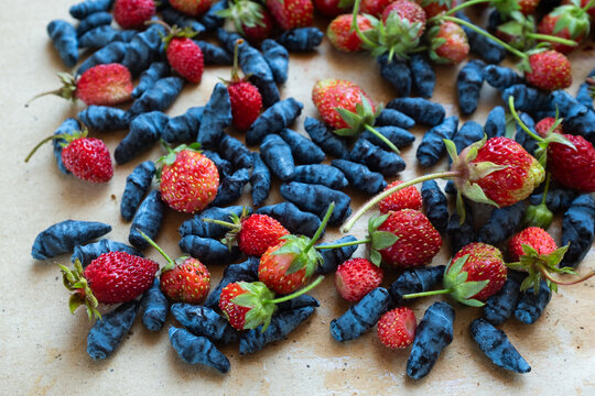 Blue honeysuckle berries and wild strawberries on light background, fresh organic superfood, healthy nutrition concept, antioxidant fruits, natural food texture