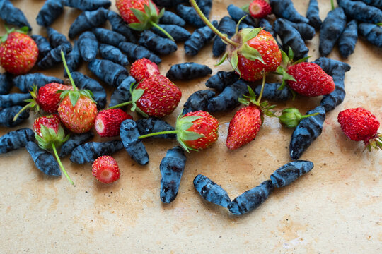 Blue honeysuckle berries and wild strawberries on light background, fresh organic superfood, healthy nutrition concept, antioxidant fruits, natural food texture