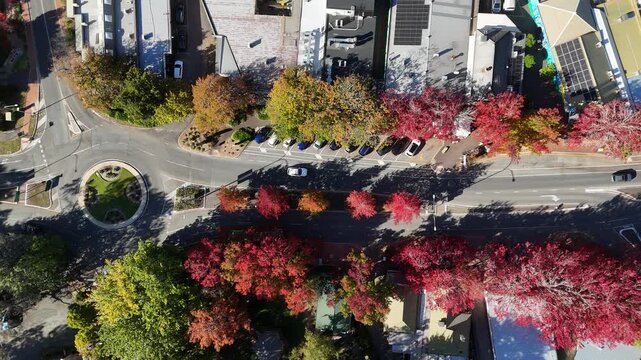 Stirling, South Australia: 4K aerial drone footage featuring leafy roundabouts, autumn-coloured trees, roundabout, streets, shops, houses, rural traffic, vehicles and scenic Adelaide Hills landscape