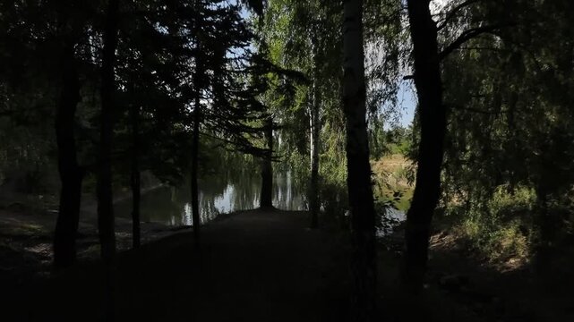The camera moves slowly forward along a shadowed path lined with weeping willow trees, emerging into the bright sunlight to reveal a calm lake reflecting the blue sky.