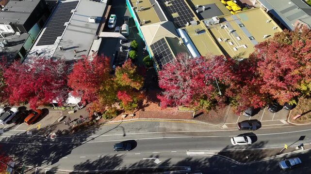 Stirling, South Australia: 4K aerial drone footage featuring leafy roundabouts, autumn-coloured trees, surrounding streets, shops, houses, rural traffic, vehicles and scenic Adelaide Hills landscape