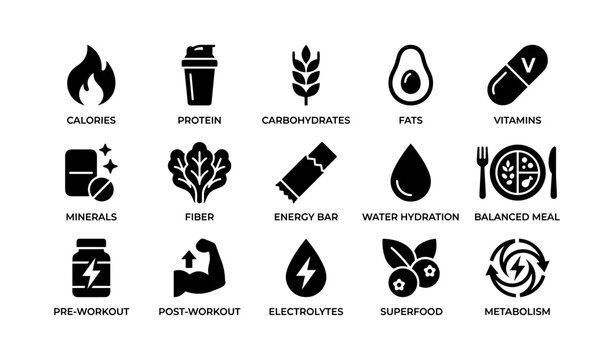 Essential nutrients and fitness icons: protein, vitamins, hydration, energy bar, metabolism