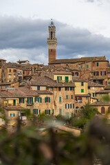 Obraz premium Metropolitan Scene Depicting Torre And Warm Houses. Urban Environment Showcasing Torre With Inviting Warm Facades In Immediate Neighborhood