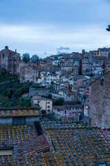 Naklejka premium Old Tiled Roofs And Distant City Towers. Serene Landscape Featuring Mossy Terracotta Rooftops And Historic City Towers In Soft Blue Sunlight