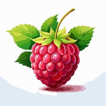 Himbeere