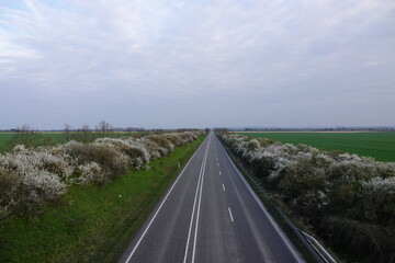 Fototapeta premium road in the countryside, zülpich germany