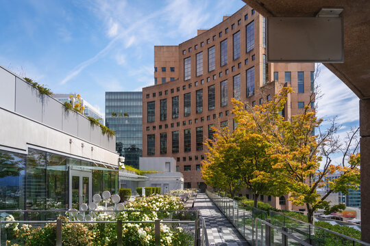 Central Library Roof Garden - Vancouver Public Library - VPL - Vancouver, British Columbia, Canada