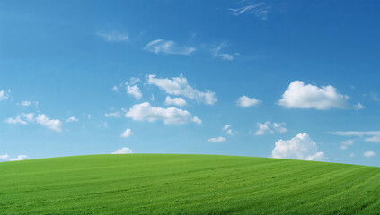 Obraz premium 青空と白い雲の下に緑の草原が広がる爽やかな風景