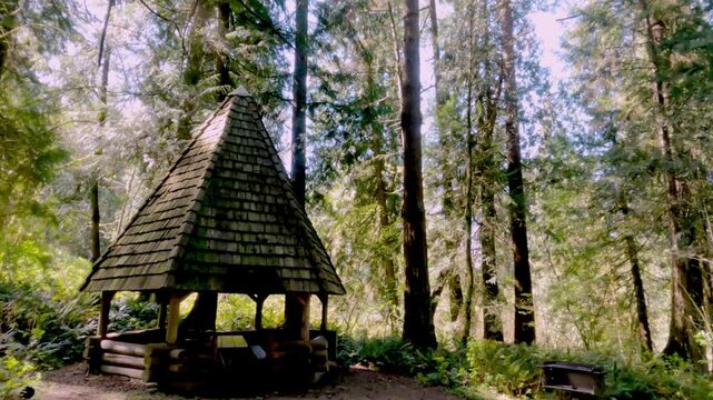 A moss-covered wooden cabin in the park, for relaxation and barbecues