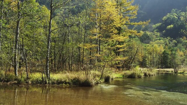 上高地 秋の田代湿原