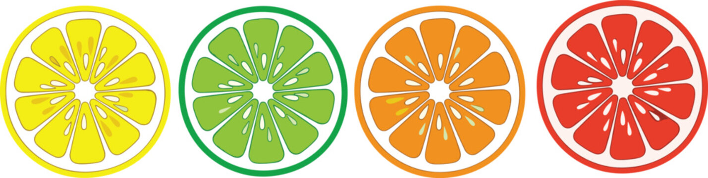 Citrus slice vector set including lemon lime orange and grapefruit icons for fresh fruit juice design assets