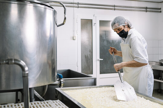 Professional worker stirring curd in cheese making factory