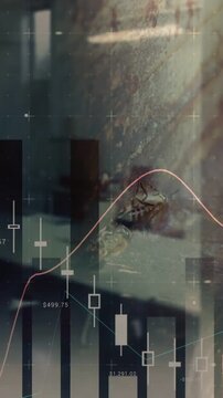Vertical video: Chart overlay appearing small bee crawling down post while charts showing trends