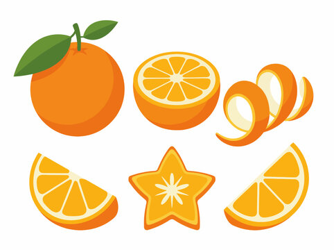 An artistic display of orange fruit showcasing whole, sliced, and peeled segments, emphasizing vibrant colors and highlighting the beauty of this juicy citrus fruit.