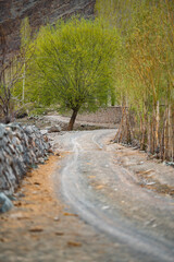 Fototapeta premium Leh Ladakh India travel tourist trip himalayan landscape features winding dirt road lined with stone walls and wooden fences leading to lush green tree in serene mountain setting