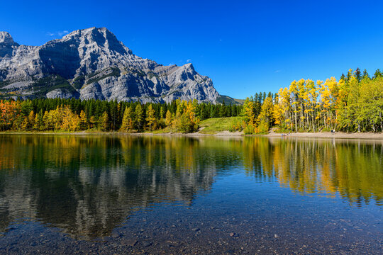 Rundle Mountain reflected in calm waters of Wedge Pond, framed by autumn-colored aspen trees under blue sky
