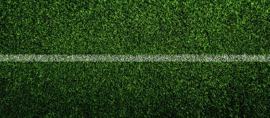 Obraz premium Vibrant Green Grass Field with White Line - Perfect for Sports and Outdoor Themes.
