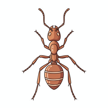 A top-down cartoon illustration of a single brown ant with six legs and antennae