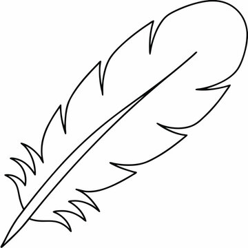 swan feather with downy base line art vector illustration on transparent background