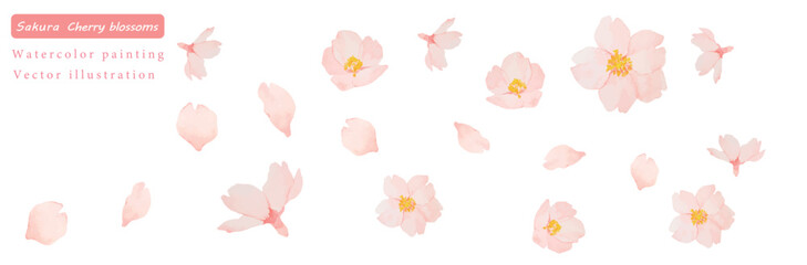 水彩で描いたかわいい桜の花のベクターイラスト素材 © きだ