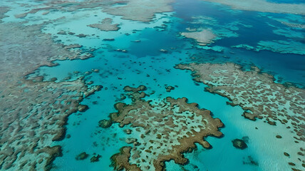 Obraz premium Vibrant Coral Reef and Shallow Tropical Waters Seen from Above