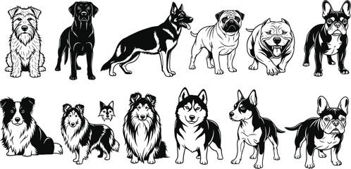 Large collection of black and white dog silhouettes featuring various breeds like german shepherd pitbull pug french bulldog and husky standing in side view vector. © MStMarzina