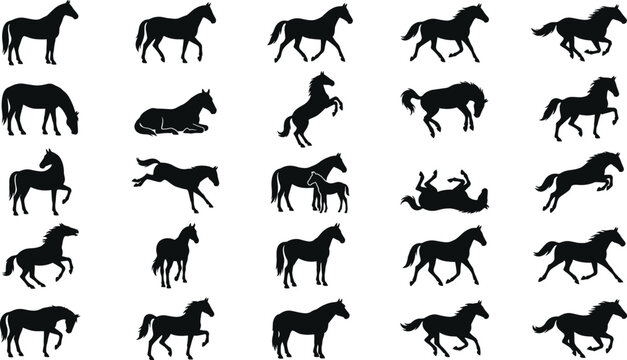 Black horse silhouettes set featuring various poses including running, jumping, walking, rearing, grazing, and mare with foal vector illustration