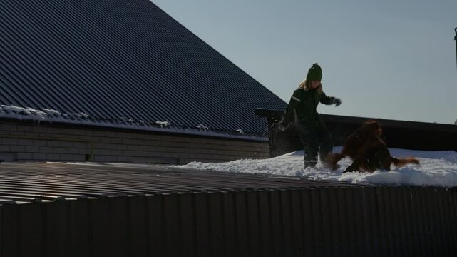 Child walks snow-covered roof with dog. Dog follows close beside child. Child pauses, looks toward house. Sunlight glints off metal roof. Winter scene, quiet, peaceful. Ideal for winter family