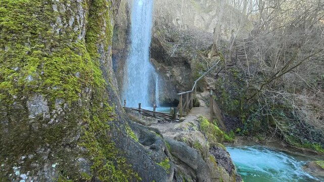 Forest Waterfall With Large Tree In Foreground. Ozren Mountain, Sokobanja region (Ripaljka Waterfall). Balkans, Serbia.