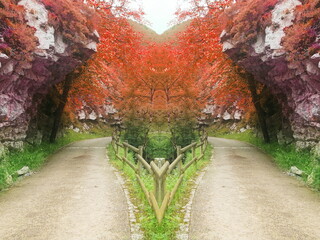 Fototapety na wymiar - Fototapeta24.pl