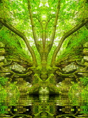 Fototapety na wymiar - Fototapeta24.pl