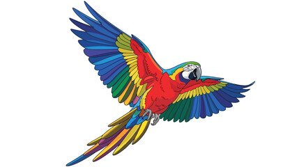 Obraz premium Colorful Macaw Parrot Flying.