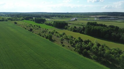 Obraz premium Sustainable green zone with planted conifers