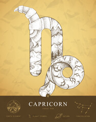Modern magic witchcraft card with astrology Capricorn zodiac sign characteristic. Hand drawing art product. Vector illustration © annbozhko